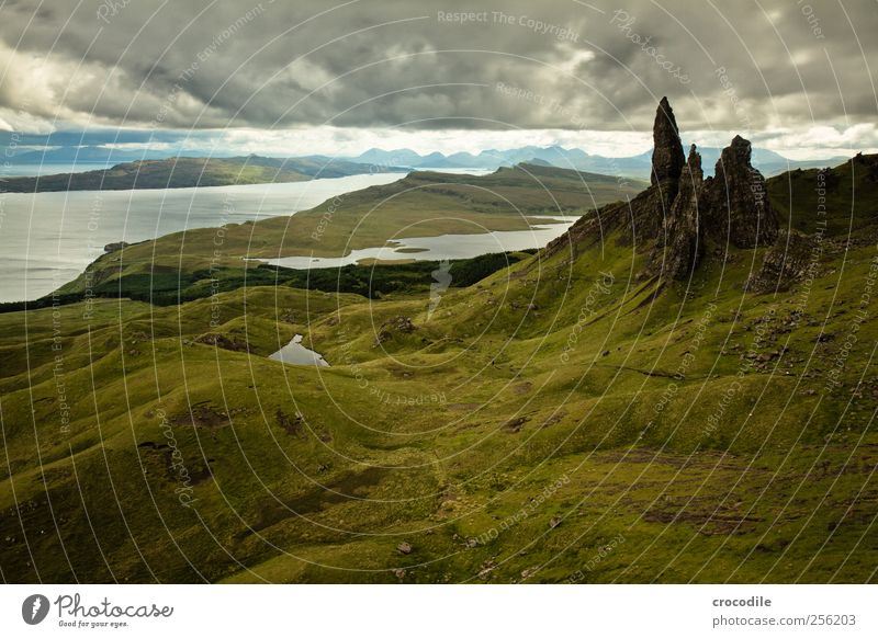 old man of storr Umwelt Natur Landschaft Urelemente schlechtes Wetter Regen Wiese Hügel Felsen Berge u. Gebirge Küste Meer Atlantik Insel Isle of Skye