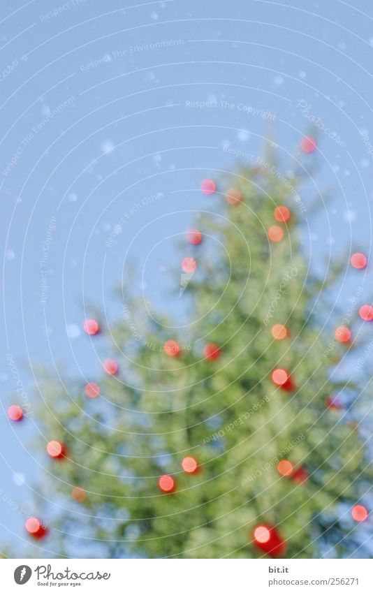Glühweinbaum... Feste & Feiern Weihnachten & Advent Umwelt Himmel Winter Schönes Wetter Eis Frost Schnee Schneefall Baum Kitsch Krimskrams glänzend blau grün