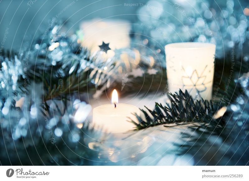 Festbeleuchtung Weihnachten & Advent Kerzenschein Weihnachtsdekoration Weihnachtsstern festlich Dekoration & Verzierung Stern (Symbol) glänzend leuchten