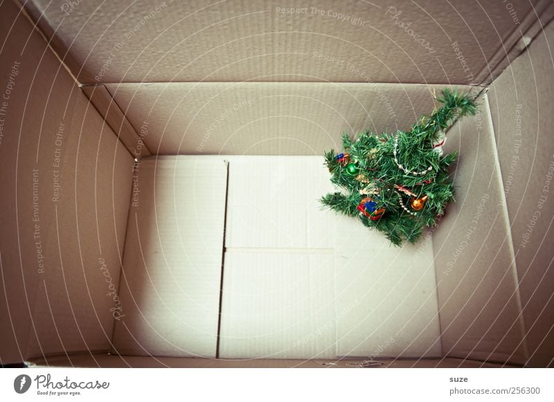 Weil's so schön ist ... Dekoration & Verzierung Weihnachten & Advent Kunststoff stehen klein lustig niedlich grün Vorfreude Überraschung Geschenk Weihnachtsbaum