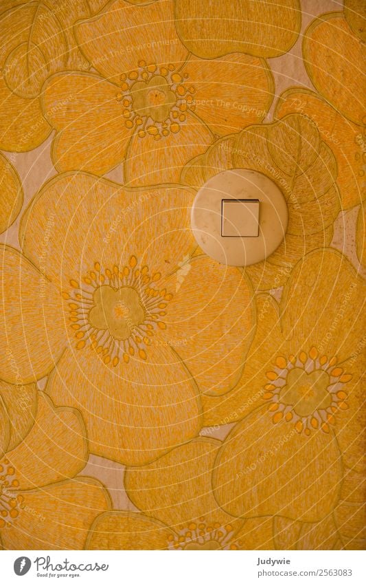 Lichtschalter an gelber Blumentapete Tapete Blümchentapete altmodisch Schalter butterblume Beleuchtung Seniorenwohnung