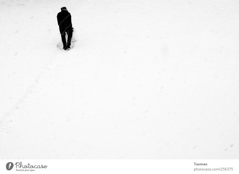 Schneeball II Mensch maskulin Mann Erwachsene 1 schlechtes Wetter Schneefall schwarz weiß Freude Lebensfreude Frühlingsgefühle Begeisterung Spielen