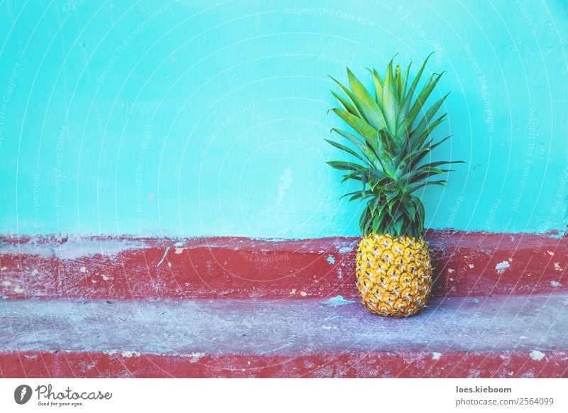 Large Pineapple on turquoise wall and red floor Frucht Bioprodukte Vegetarische Ernährung Ferien & Urlaub & Reisen Tourismus Ferne Sommer Sonne Natur