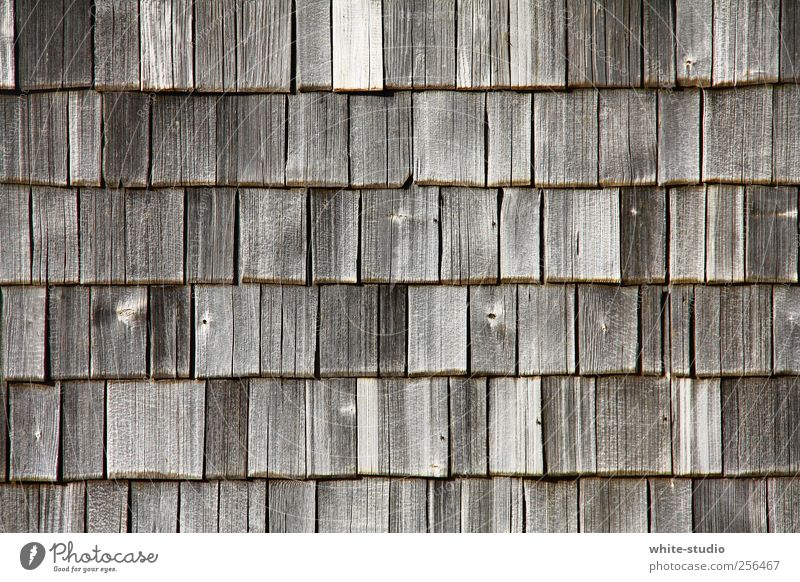 Verwitterte Holz Schindeln in den Chiemgauer Bergen Berge u. Gebirge wandern Alpen Hütte Fassade Dach Dachziegel alt historisch braun grau Vergänglichkeit Zeit