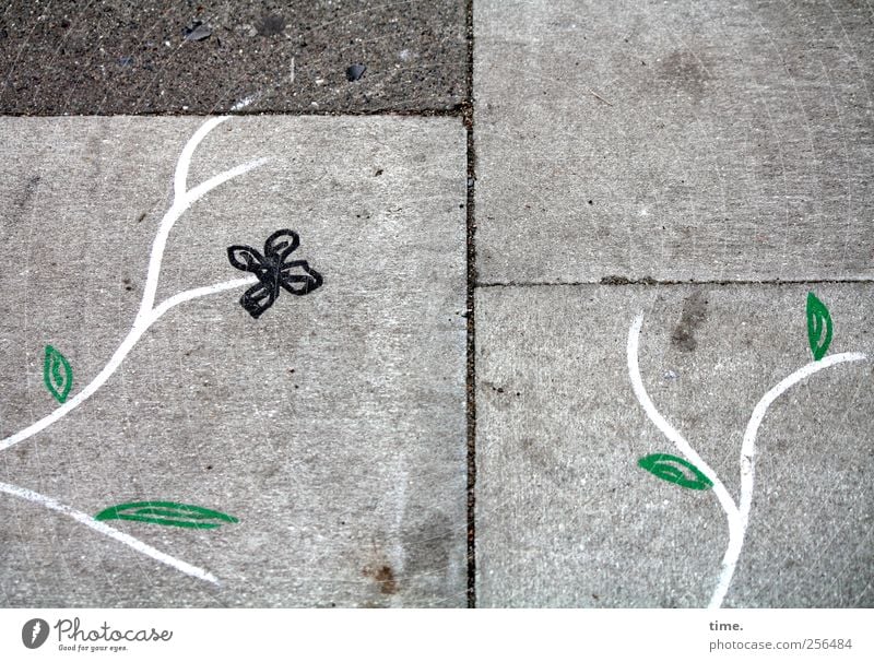 Phantasiemaßnahme Kunst Gemälde Blume Beton dreckig grau grün weiß Farbe Gefühle Idee innovativ Inspiration Kommunizieren Optimismus Ordnung Boden Bodenbelag