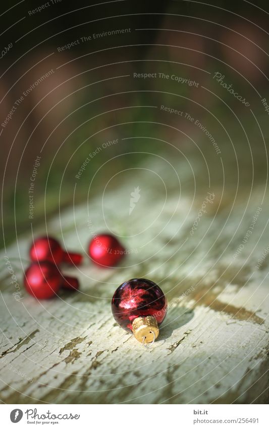 wir haun dann schonmal ab... Häusliches Leben Dekoration & Verzierung Feste & Feiern Weihnachten & Advent Natur Kitsch Krimskrams glänzend liegen trashig rot
