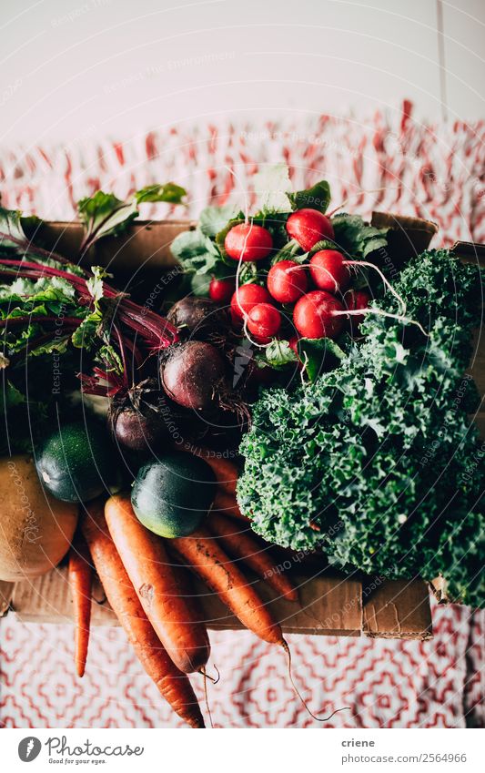 Verschließen von verschiedenen Gemüsesorten auf dem Tisch Ernährung Essen Vegetarische Ernährung Diät Küche Natur Holz außergewöhnlich frisch natürlich grün rot