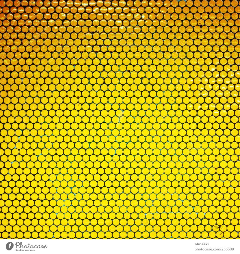 Kleine Kreise Menschenleer Bauwerk Mauer Wand Fliesen u. Kacheln Mosaik viele gelb gold grell Punkt Farbfoto Innenaufnahme abstrakt Muster Strukturen & Formen