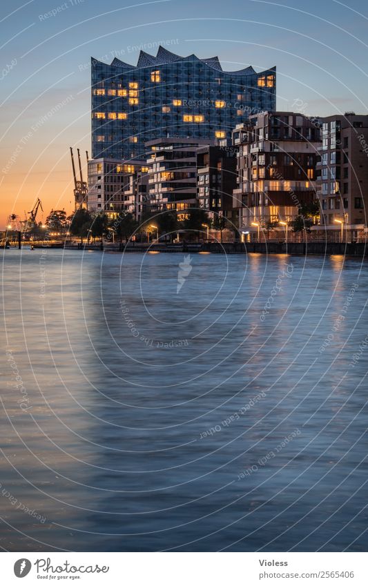 Hamburg Hafen II Hafencity Hafenstadt Skyline Bauwerk Elbphilharmonie Sehenswürdigkeit Wahrzeichen glänzend trendy blau Reflexion Spiegelung Beleuchtung Abend