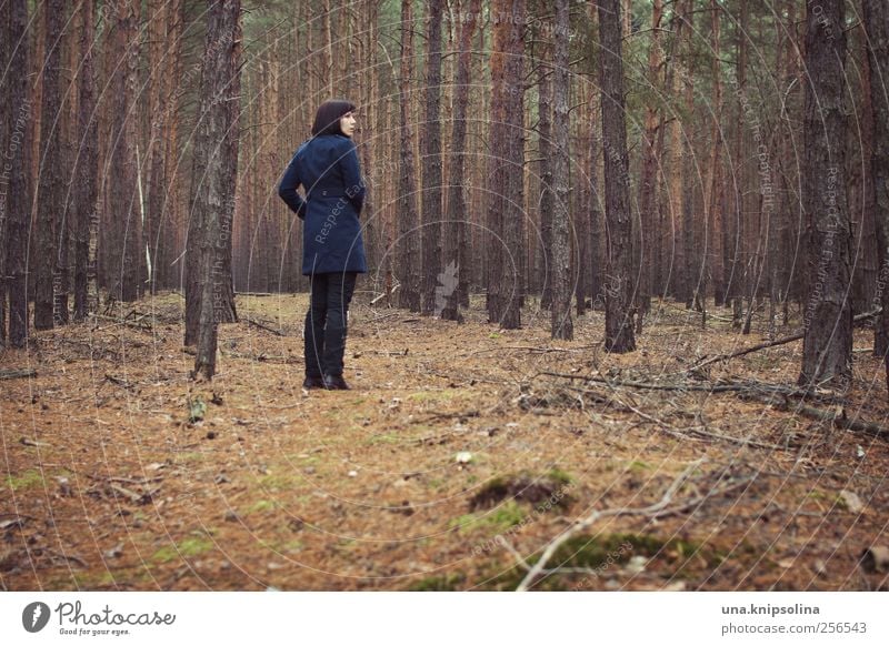 rettet den wald, esst mehr biber Erholung ruhig feminin Frau Erwachsene 1 Mensch Umwelt Natur Landschaft schlechtes Wetter Baum Wald Mode Mantel brünett