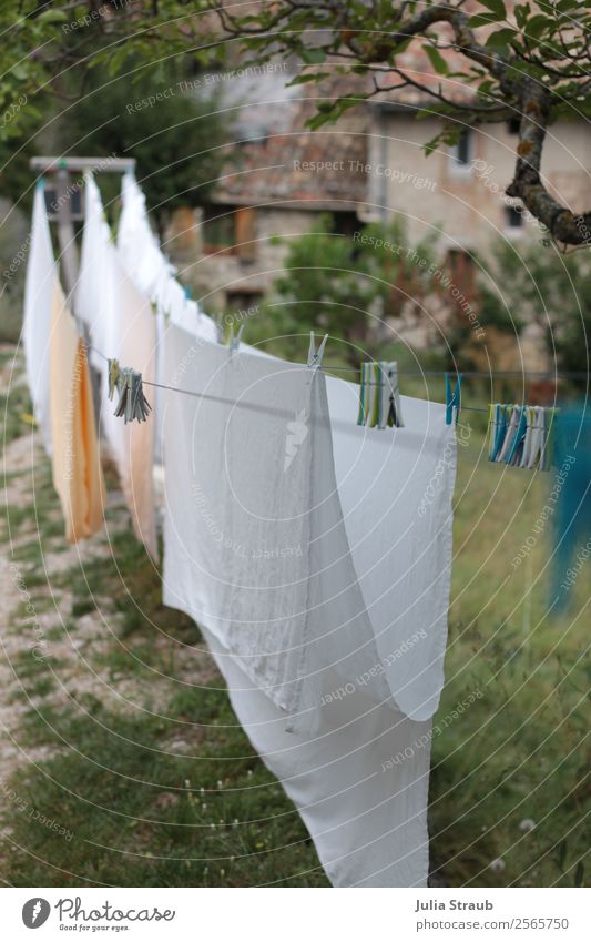 Wäsche klammern Leine Dorf Haus Fenster Idylle Häusliches Leben Provence Wäscheklammern Wäscheleine Bettlaken weiß Baum Wiese Farbfoto Außenaufnahme Tag