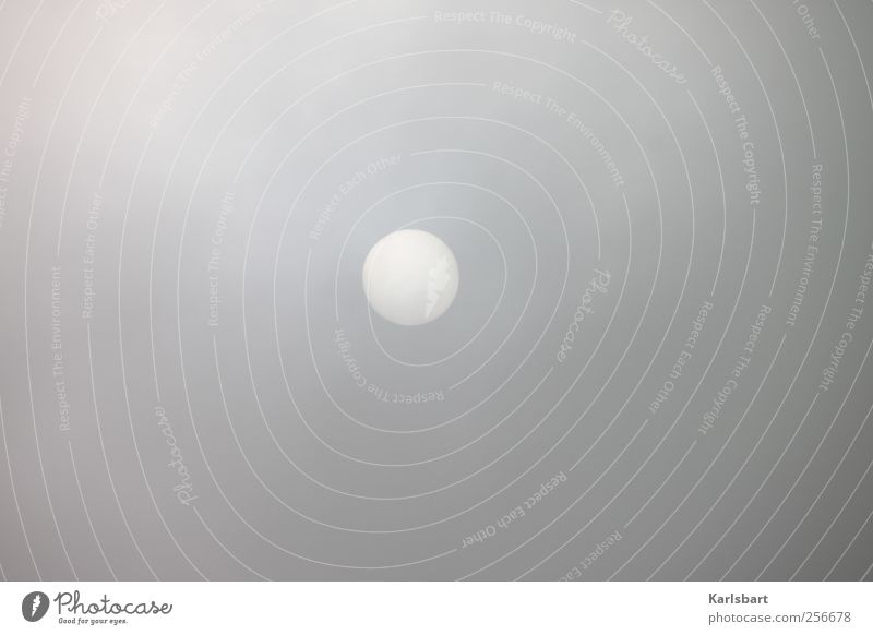 Die Sonne spielt Mond. Wissenschaften Umwelt Himmel Wolken Sonnenlicht Herbst Winter Wetter schlechtes Wetter Unwetter Wind Sturm Nebel bedrohlich grau Bewegung