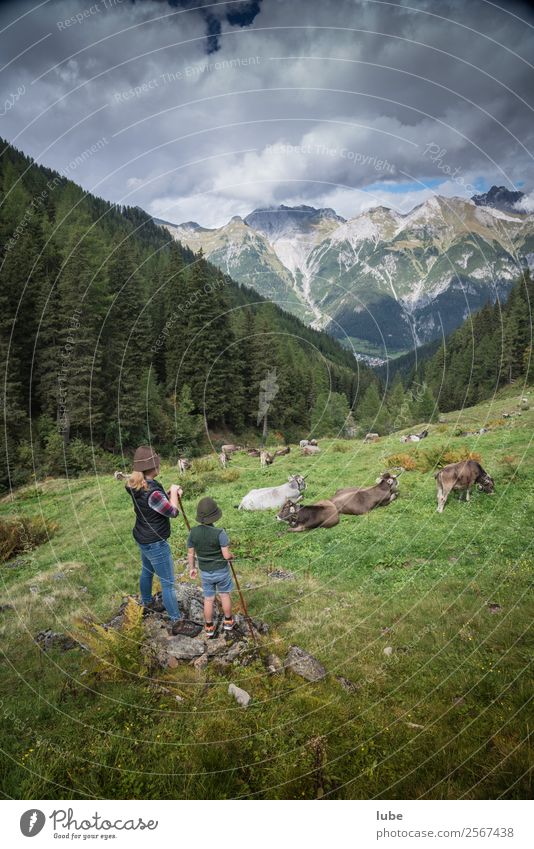 Almhirten Ferien & Urlaub & Reisen Landwirtschaft Forstwirtschaft Umwelt Natur Landschaft Sommer Klima Wetter Felsen Alpen Berge u. Gebirge Gipfel Tier Nutztier