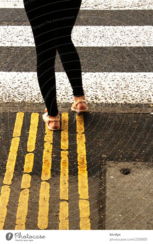 Auf welchen Strich geh ich bloß ? Frau Erwachsene 1 Mensch Verkehrswege Straße Zebrastreifen Fußgängerübergang gehen warten außergewöhnlich gelb schwarz weiß