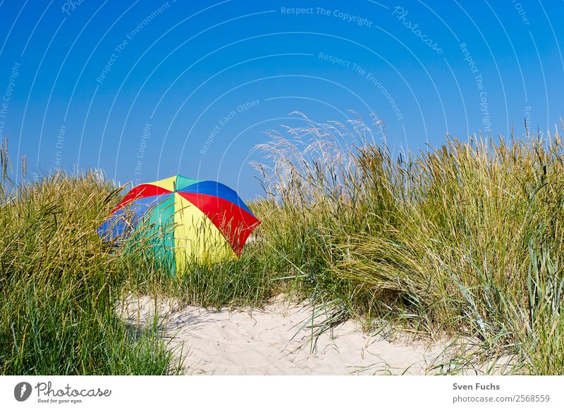 Bunter Sonnenschirm in einer Düne Erholung ruhig Ferien & Urlaub & Reisen Tourismus Sommer Strand Meer Insel Natur Landschaft Sand Wolkenloser Himmel