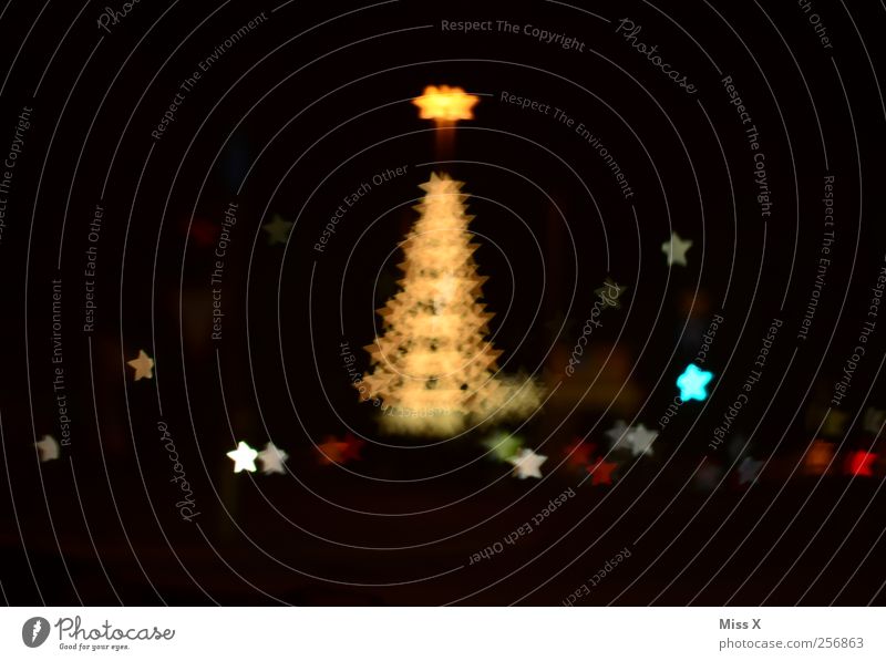 Weihnachtssterne Weihnachten & Advent Baum glänzend leuchten gold Unschärfe Sternenhimmel Weihnachtsbaum Weihnachtsbaumspitze Licht Weihnachtsbeleuchtung