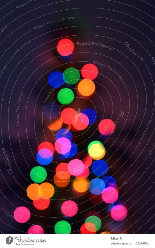 bunte Punkte Weihnachten & Advent Baum leuchten mehrfarbig Weihnachtsbaum Weihnachtsbeleuchtung Licht Glühbirne Weihnachtsdekoration Farbfoto Außenaufnahme