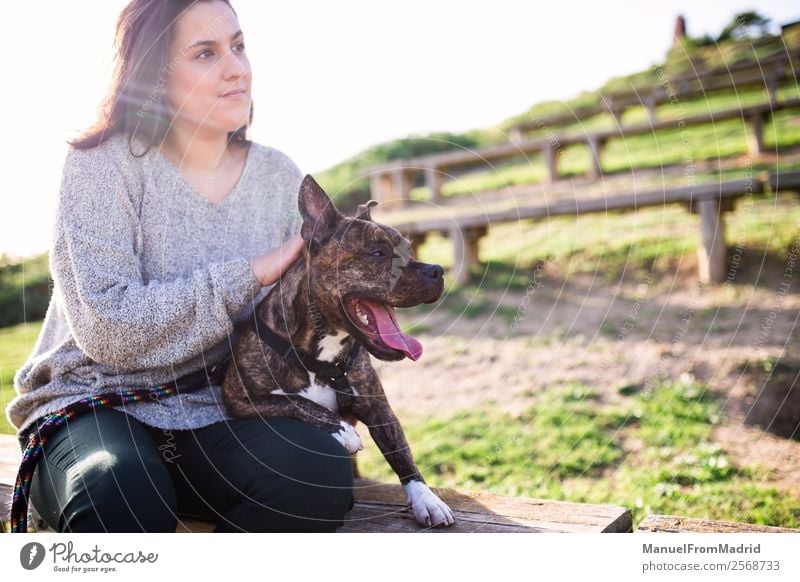 junge Frau sitzt mit ihrem Hund im Sitzen Lifestyle Glück schön Erwachsene Freundschaft Natur Tier Gras Park Haustier Lächeln niedlich grün Vertrauen Sicherheit