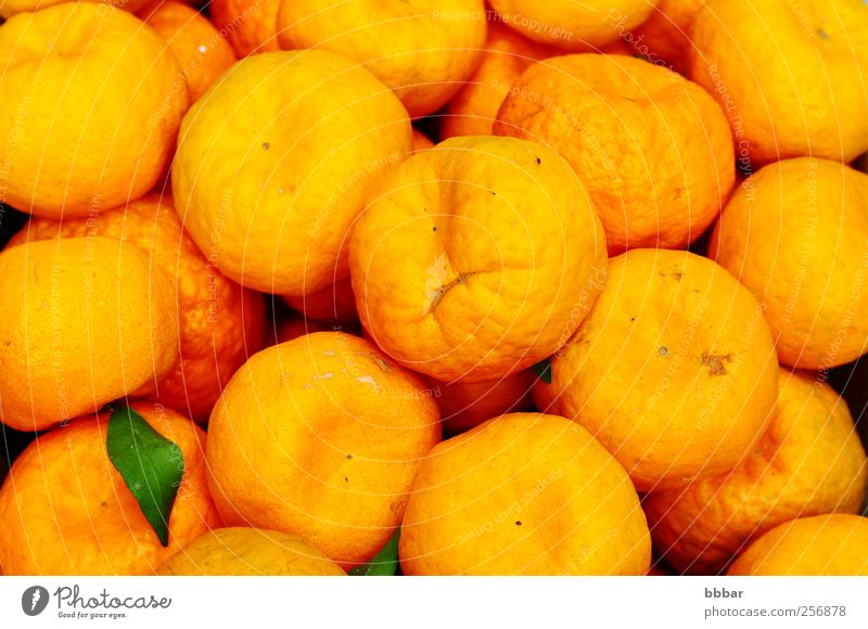 Frische orangefarbene Früchte Lebensmittel Frucht Vegetarische Ernährung Saft Blatt frisch saftig sauer gelb Farbe Zitrusfrüchte Vitamin reif organisch