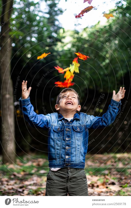 Netter Junge überrascht von einigen Blättern, die im Herbst fallen. Lifestyle Freude Glück schön Spielen Garten Kind Mensch Baby Kleinkind Kindheit 1 3-8 Jahre