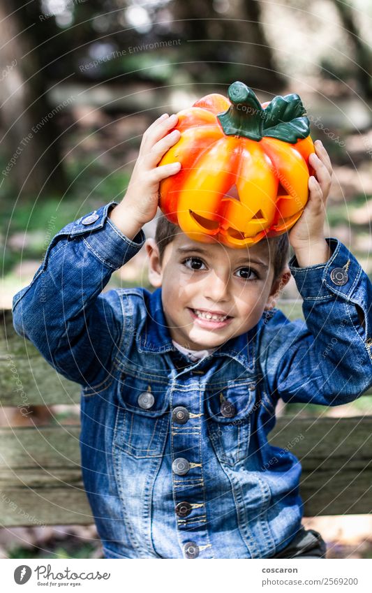 Kleiner Junge sitzt auf einer Bank mit einem Kürbis an Halloween. Lifestyle Freude Glück schön Freizeit & Hobby Feste & Feiern Kind Mensch maskulin Kleinkind