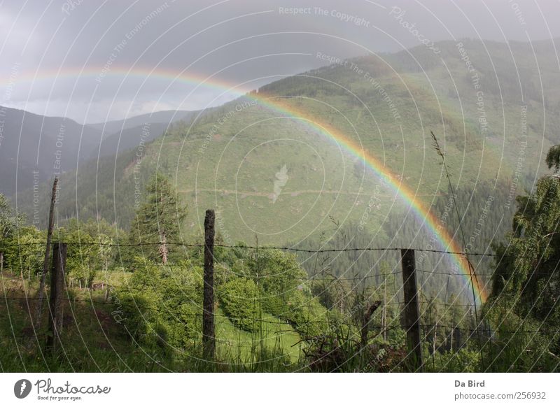 Regenbogen im Lungau Umwelt Natur Landschaft Frühling Wetter Wald Berge u. Gebirge Erholung Freiheit Frieden Hoffnung Außenaufnahme Menschenleer Tag Sonnenlicht