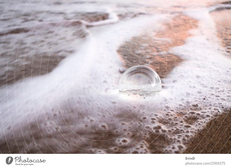 Schaumiges Meerwasser auf Sand umgibt klare Glaskugel Strand Umwelt Erde Küste Kugel frisch nass natürlich weiß Ball kreisen Brandung überflutet winken Wasser