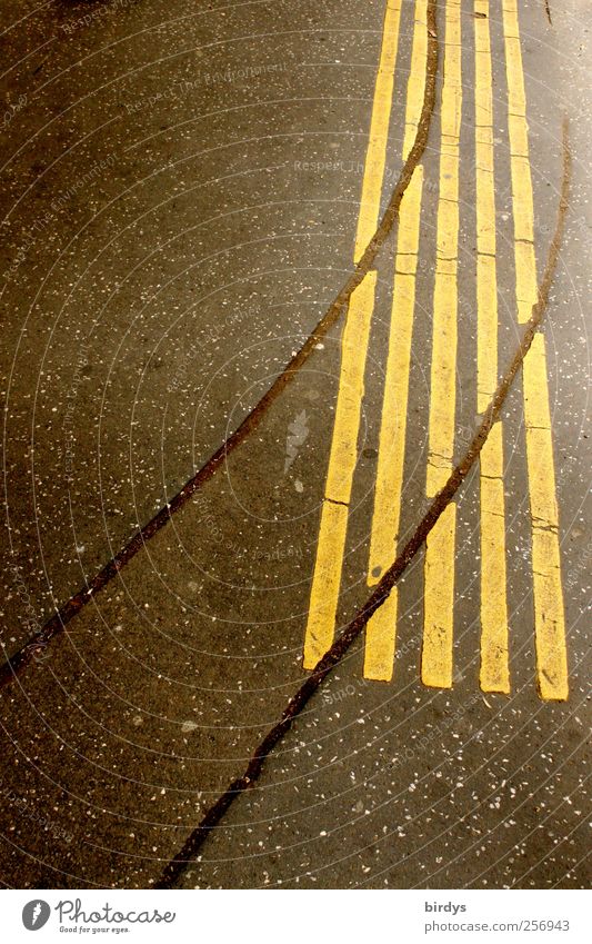 Ziviler Ungehorsam Verkehr Straße Verkehrszeichen Verkehrsschild Gleise Schilder & Markierungen leuchten außergewöhnlich gelb schwarz Linie 5 parallel Kurve
