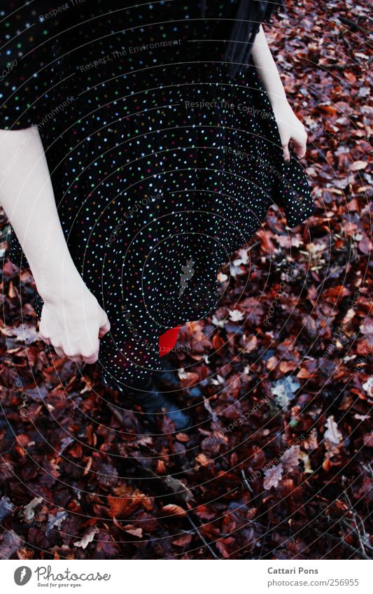 Autumn's Child feminin Junge Frau Jugendliche Erwachsene 1 Mensch Umwelt Herbst Kleid Strumpfhose Stiefel berühren festhalten stehen schön einzigartig dünn