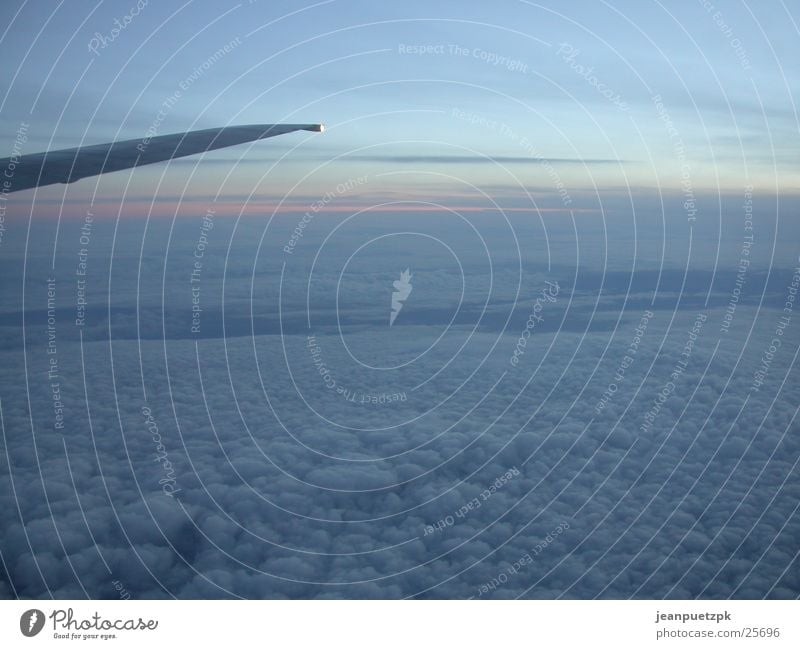 Flug nach London Flugzeug Wolken Fenster Heck Tragfläche Luftverkehr Himmel Sonne Blick ryanair