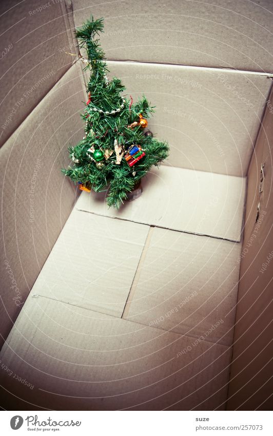 Nu aber raus! Dekoration & Verzierung Weihnachten & Advent Baum Kunststoff stehen klein lustig niedlich grün Vorfreude Überraschung Geschenk Weihnachtsbaum