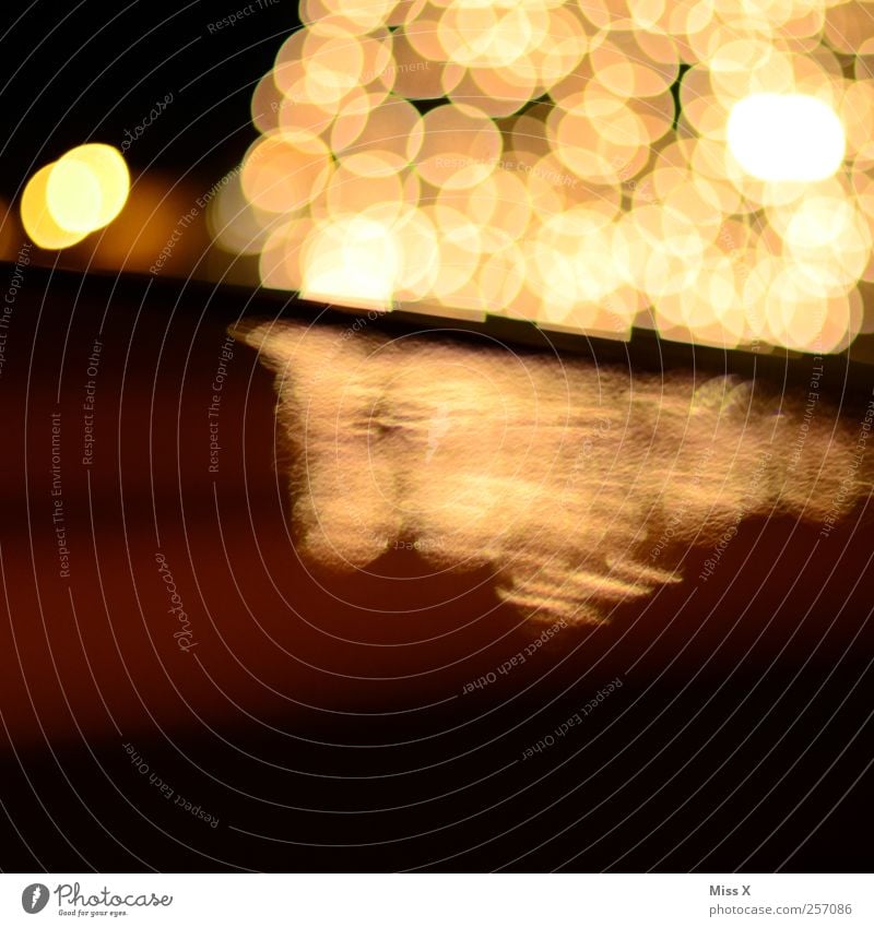 Lichterspiegel leuchten glänzend hell Weihnachtsbaum Beleuchtung Lampe Weihnachtsbeleuchtung Nahaufnahme Experiment Muster Menschenleer Textfreiraum unten