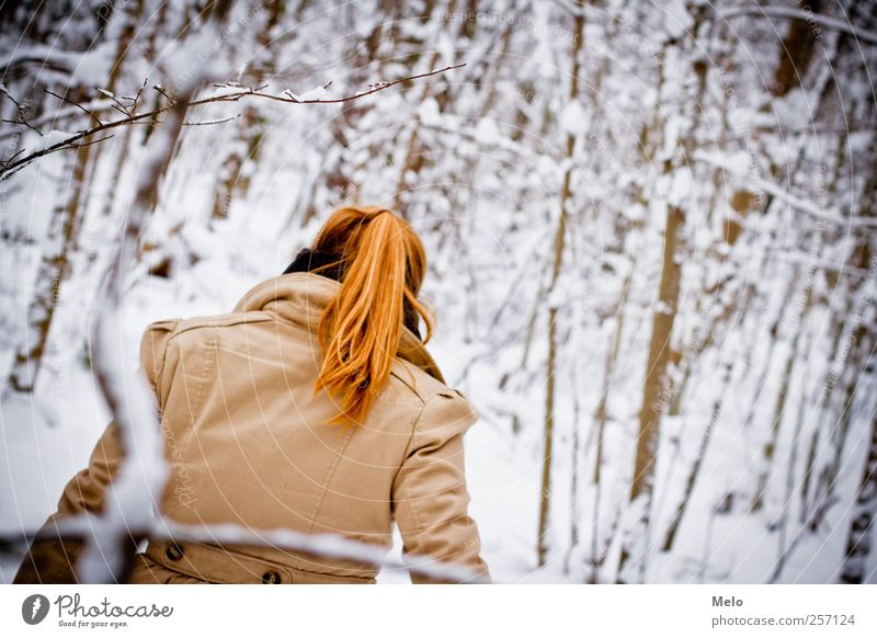 Winterdream Haare & Frisuren Freizeit & Hobby Ausflug Schnee Winterurlaub feminin Junge Frau Jugendliche Rücken 1 Mensch 18-30 Jahre Erwachsene Natur Baum Wald