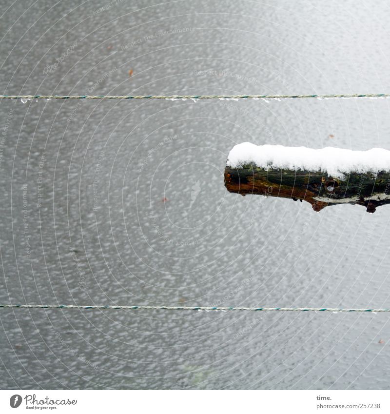 -stock-photo- Wasser Winter Einsamkeit Surrealismus Holz Ast Schneefall Eis gefroren Schnur Wassertropfen Oberfläche Farbfoto Gedeckte Farben Außenaufnahme
