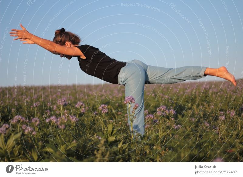 Krieger 3 Frau Blumen Yoga Fitness Sport-Training Sportler feminin Erwachsene 1 Mensch 30-45 Jahre Natur Sonnenlicht Sommer Gras Feld stehen Gesundheit