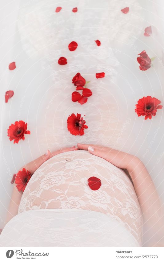 Milchbadshooting milchbadshooting schwanger schwangerschaftsshooting schwangerschaftsfotografie Rose Blüte Blütenblatt Spitze spitzenklied Baby Babybauch