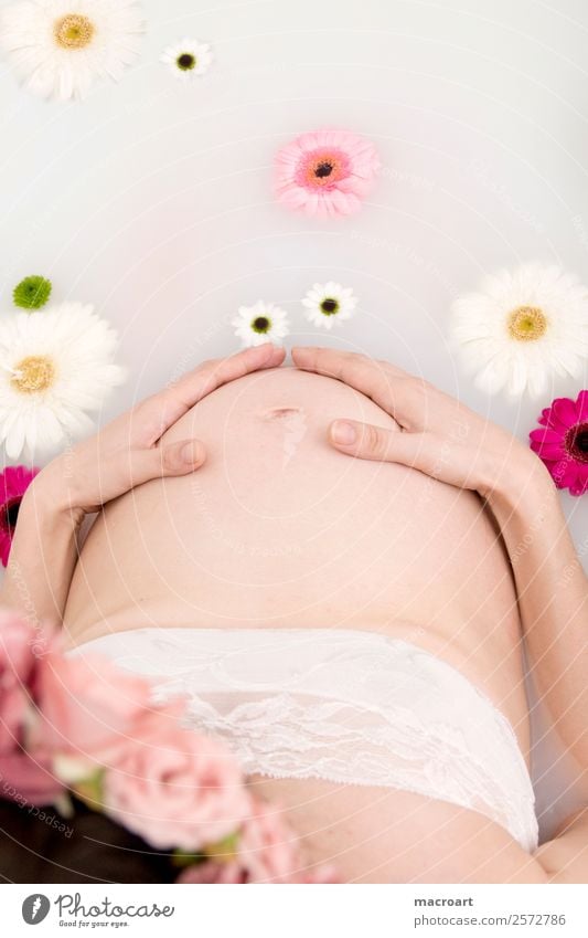 Milchbadshooting schwanger schwangerschaftsshooting Blütenblatt rosa Frau feminin pregnant Babybauch babybauchshooting Bauch Schwimmen & Baden Badewanne