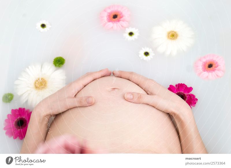 Milchbadshooting schwanger schwangerschaftsshooting Blütenblatt rosa Frau feminin pregnant Babybauch Bauch Schwimmen & Baden Badewanne milchbad Photo-Shooting