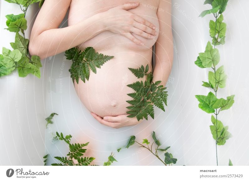 schwangerschaftsshooting Milchbadshooting Efeu Blatt grün Frau feminin pregnant Babybauch babybauchshooting Bauch Schwimmen & Baden Badewanne milchbad