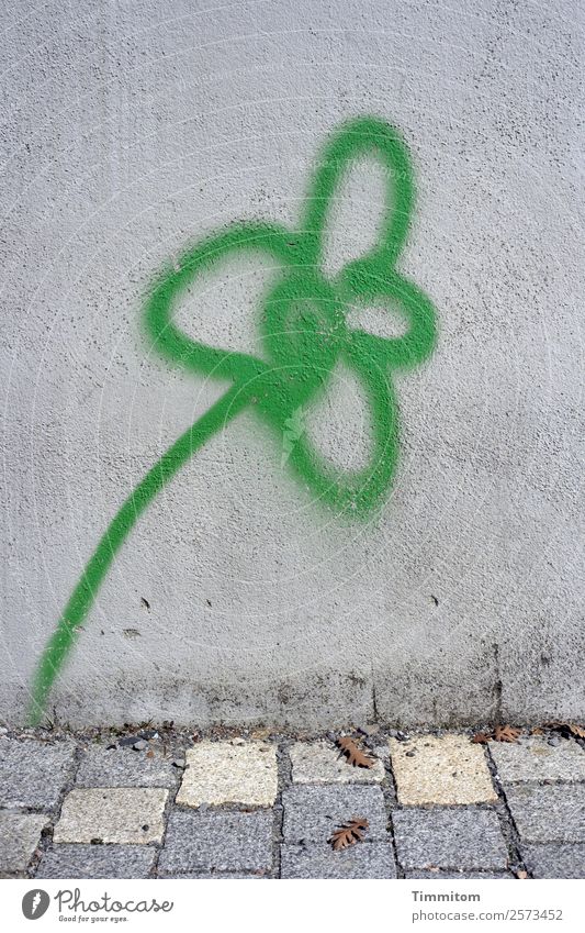 Emotion | Do you feel it? Mauer Wand Wege & Pfade Stein Beton Graffiti Blume einfach Fröhlichkeit grau grün Gefühle Pflastersteine Linie Farbfoto Außenaufnahme