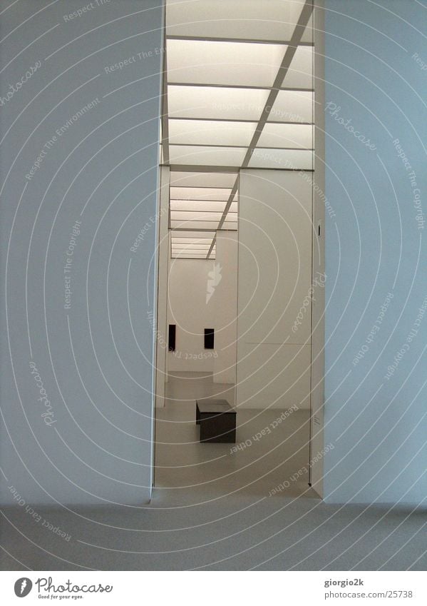 Pinakothek München Kunst Ausstellung Wand weiß Licht Stil Architektur Pinakothek der Moderne Raum