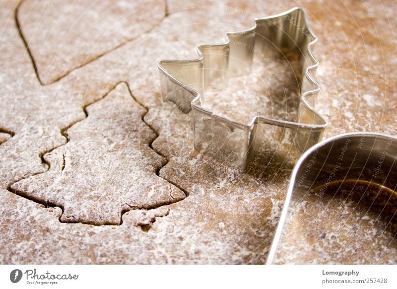 Gingerbread Lebensmittel Kuchen Dessert Süßwaren Lebkuchen Backwaren Konditorei Mehl Teigwaren Übergewicht Feste & Feiern Weihnachten & Advent Koch Baum