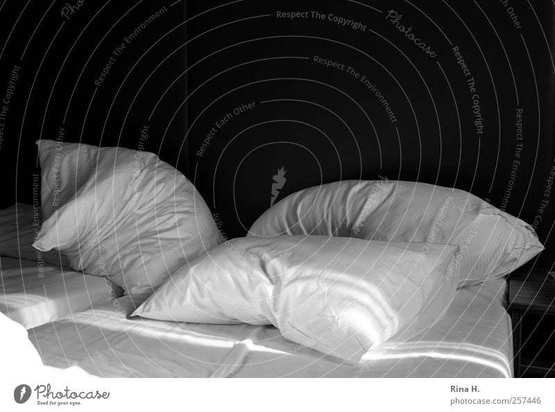 Raus aus den Federn ! Bett Bettwäsche Kissen Kopfkissen Erholung schlafen Häusliches Leben schwarz weiß Lebensfreude ruhig Schwarzweißfoto Innenaufnahme