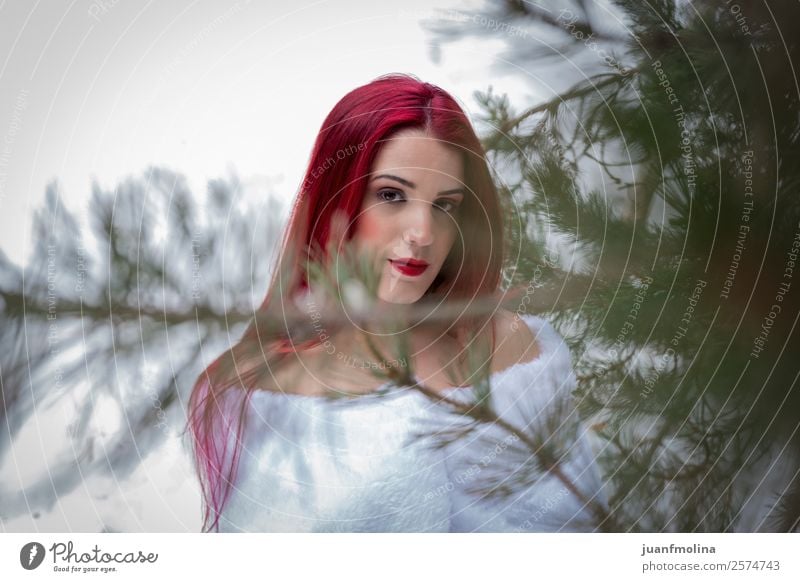 Porträt eines rothaarigen Mädchens im Schnee schön Haut Gesicht Winter Frau Erwachsene 18-30 Jahre Jugendliche Natur Wald Mode grün weiß Gefühle Behaarung