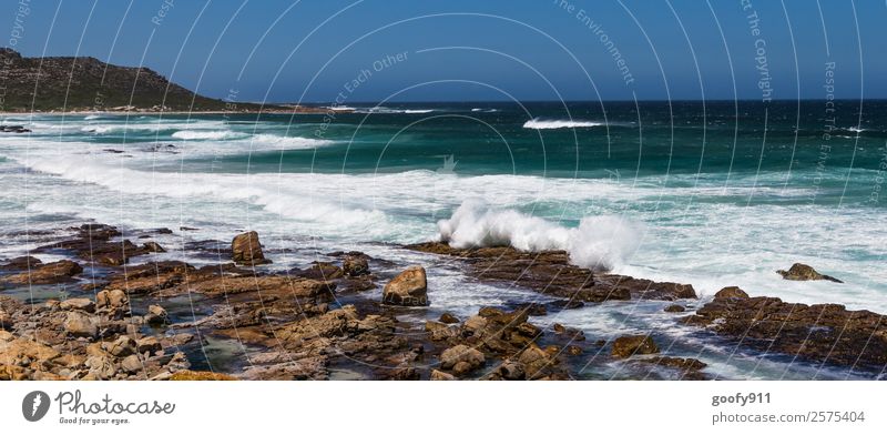 Wilde Küste Südafrikas Ferien & Urlaub & Reisen Tourismus Ausflug Abenteuer Ferne Freiheit Strand Meer Wellen Umwelt Natur Landschaft Erde Wasser Wind Sturm