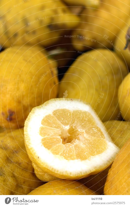 Zitronen Frucht Erfrischungsgetränk Limonade Saft gelb grau schwarz weiß zitronengelb Anschnitt sauer Bioprodukte Italien saftig Marktstand Versuch aromatisch
