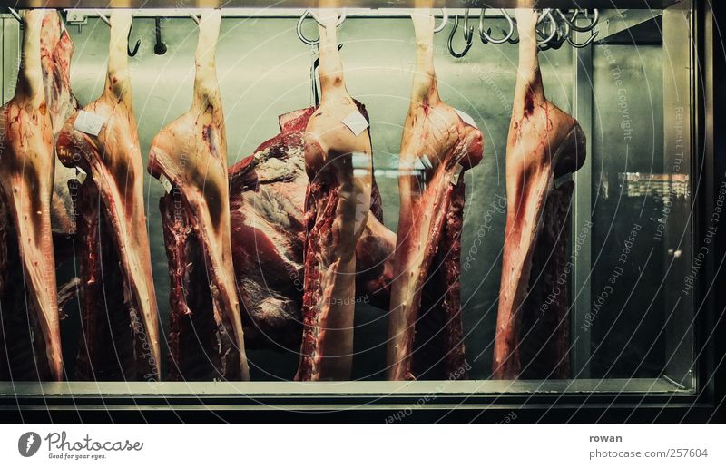 nahrhaft Lebensmittel Fleisch Wurstwaren Ernährung Übergewicht Totes Tier kalt Haken hängen hängend Schwein Schweinefleisch rot grün Kühlhaus kühlen Ausstellung