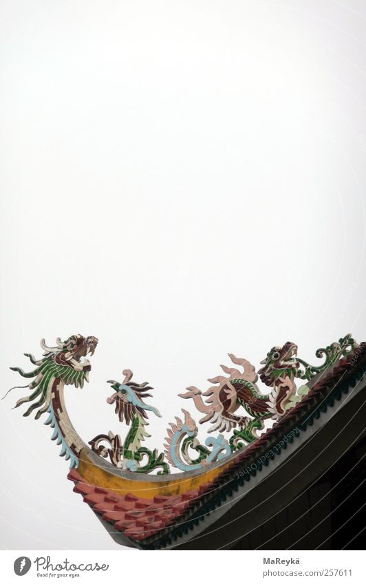 Druffn Drachengefauche Kunstwerk Religion & Glaube Buddhismus Nepal Himmel Vietnam Asien Lumbini Tempel Dach fliegen schreien Ferne mehrfarbig grau