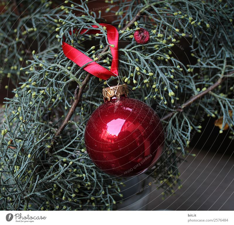 Nostalgische, festliche Weihnachtsdekoration mit zarten Tannenzweigen, roter Kugel und Geschenkband. Rote Weihnachtskugel hängt glänzend an Zweigen. Leuchtende Christbaumkugel aufgehängt an Ästen in altem, nostalgischem, rustikalem Stil zuhause, heimwärts