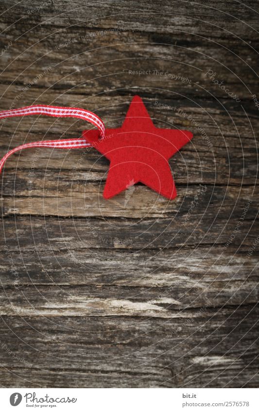 Roter Stern aus Filz mit kariertem Band, liegt auf altem Holz. Roter Weihnachtsstern, als Dekoration auf rustikalem, braunen Holzbrett. Stern als Schild, Weihnachtsbaum-Anhänger, Geschenkanhänger aus Stoff zur Adventszeit, Weihnachtszeit mit Band mit Karo.